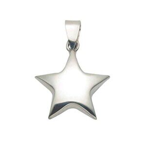 Wild Things Sterling Silver Polished Star Pendant
